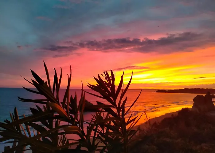 Appartement Ocean View